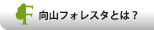 アクセスマップ